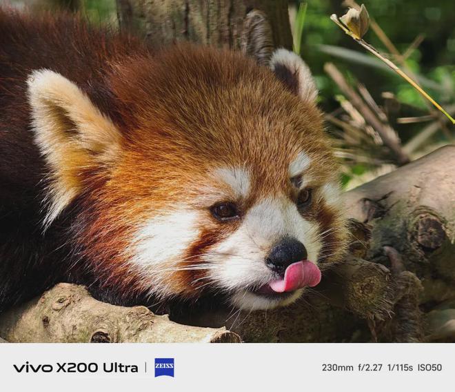 “V单”来临vivo X200 Ultra如何重新定义专业移动影像？(图6)