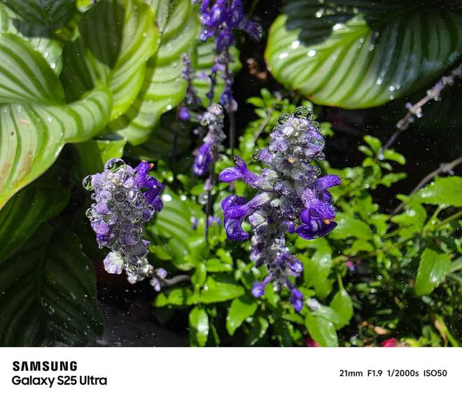 AI超视觉影像再革新 三星Galaxy S25系列定格重庆夜色(图4)