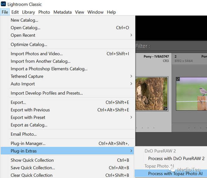 Topaz Photo AI 人工智能图像降噪锐化放大(图2)