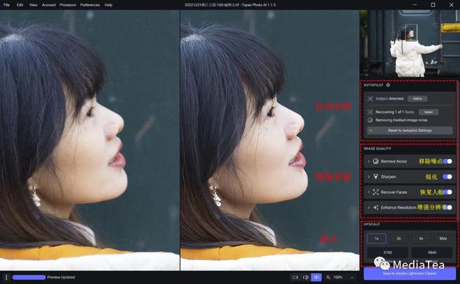 Topaz Photo AI 人工智能图像降噪锐化放大(图3)