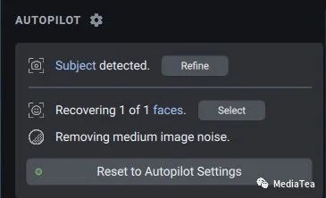 Topaz Photo AI 人工智能图像降噪锐化放大(图4)