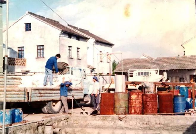 花2000元冤枉钱买了一勺盐浙江父子却靠它撑起一个千亿帝国(图9)