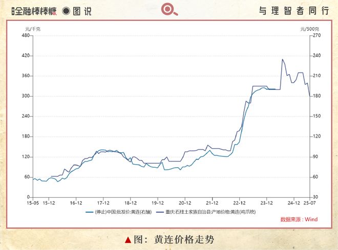50亿滴灌“秦药”：静等黄连熟透(图4)