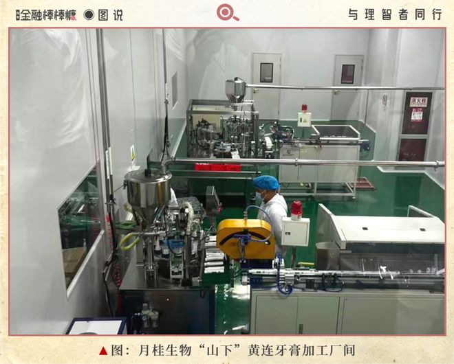 50亿滴灌“秦药”：静等黄连熟透(图3)